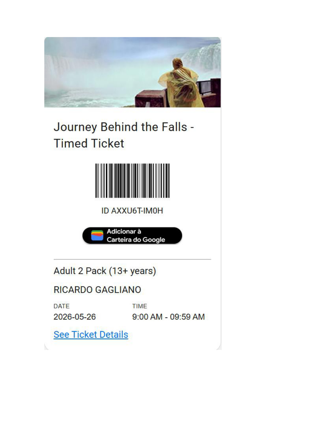 Journey Behind the Falls 1  página 1